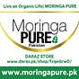 Moringa Oleifera Powder Pakistan