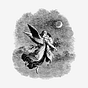 Cillia