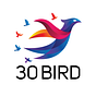 30Bird Media