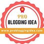 Pro Blogging Idea