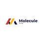 Molecule Group