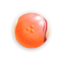 IWCDWAFI