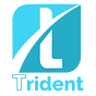 Trident Crypto Index Fund