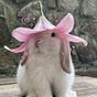 bunn_