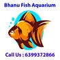 Bhanu Fish Aquarium