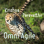 Omni Agile by KP