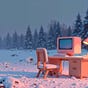 Website Developer