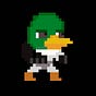 Pato