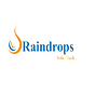 Raindrops Infotech