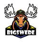 BigSwede Token