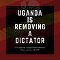 We Are Removing A Dictator