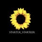 Starter_ Startler