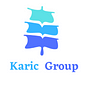 Karic Group