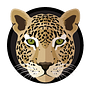 Leopard Swap