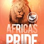 Safcoin Africa's Pride