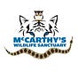 McCarthys Wildlife Sanctuary