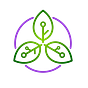 Cognielo