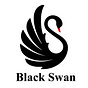 Black Swan Business Setup Services