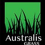Australis Grass