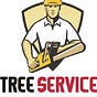 Treeservicefostercity