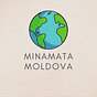 Convenția Minamata Moldova