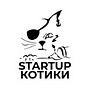 StartupKotiki