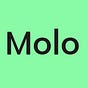 Molo estudio