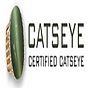 Cats Eye Gemstone