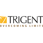 Trigent Software Inc