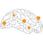 NEURONprocessing