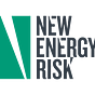 New Energy Risk