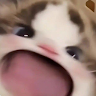 Giyo Mi