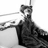 Gary Bear