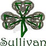 Kathy Sullivan Snyder Medium Writer - @kathysullivansnyder Profile image