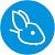 Blue Rabbit™ - Branding Agency