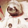 Space Sloth