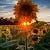FloraMoonLight