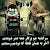 Javid Rahmatiq@gmail.com