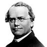 Gregor Mendel Medium Writer - @gregorthemendel Profile image