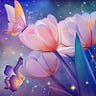 宝生朔來