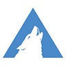 Arctic Wolf Networks
