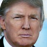 Small Biz for Trump