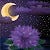 Newmoonlotus