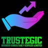 TRUSTEGIC BUSINESS CONSULTANCY SERVICES LIMITED