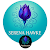 Serenahawkebooks