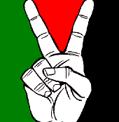 Palestine Today