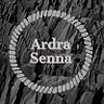 Ardra Senna Medium Writer - @ardrasenna Profile image