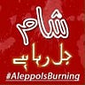 Syed Sharjeel Ali