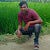 Shillm