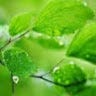 AR Ayurveda